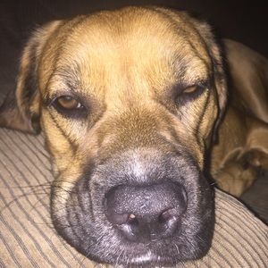 Meet your Posher, Mary